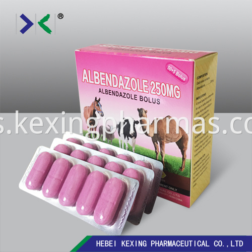 Albendazole Tablet 300mg 